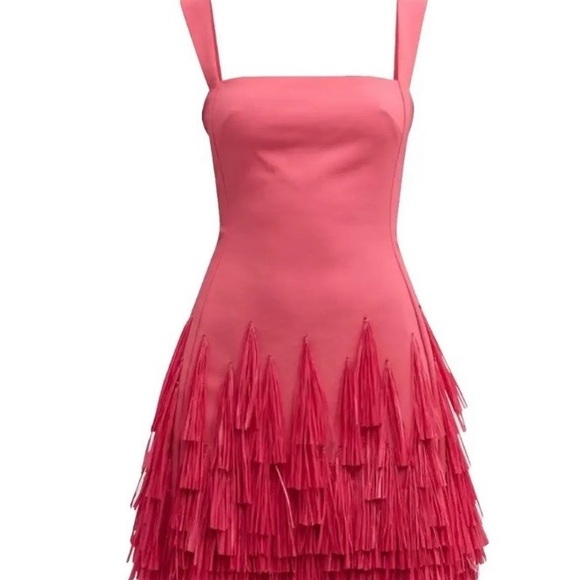 cult gaia Dresses & Skirts - Cult Gaia Pink Fringe Mini Dress